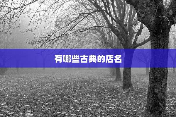 有哪些古典的店名