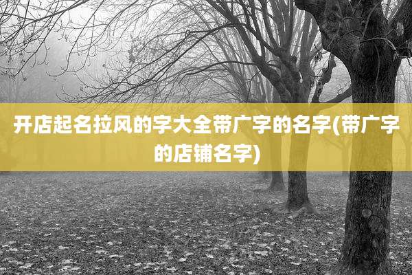 开店起名拉风的字大全带广字的名字(带广字的店铺名字)