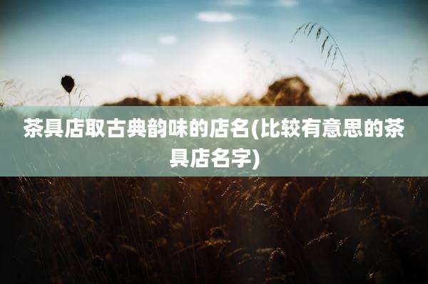 茶具店取古典韵味的店名(比较有意思的茶具店名字)