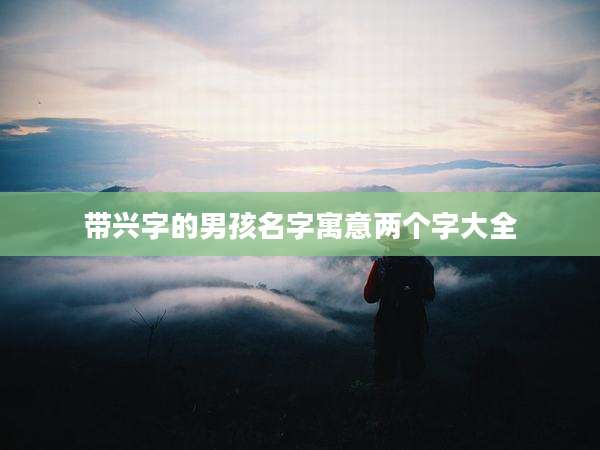 带兴字的男孩名字寓意两个字大全