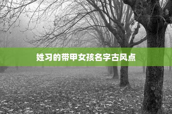 姓习的带甲女孩名字古风点