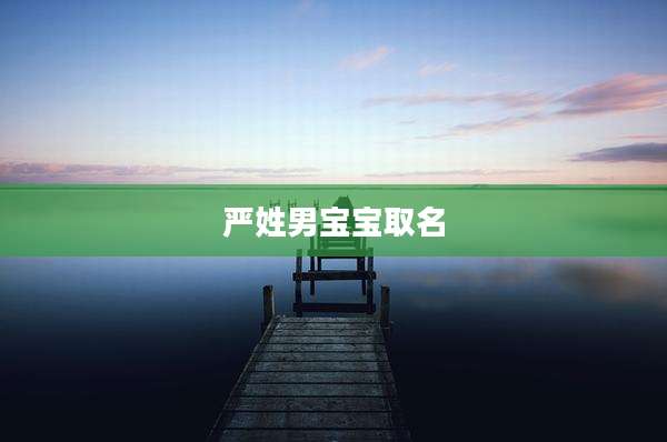 严姓男宝宝取名