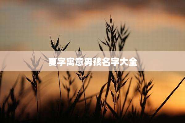 夏字寓意男孩名字大全