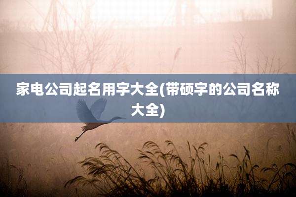 家电公司起名用字大全(带硕字的公司名称大全)
