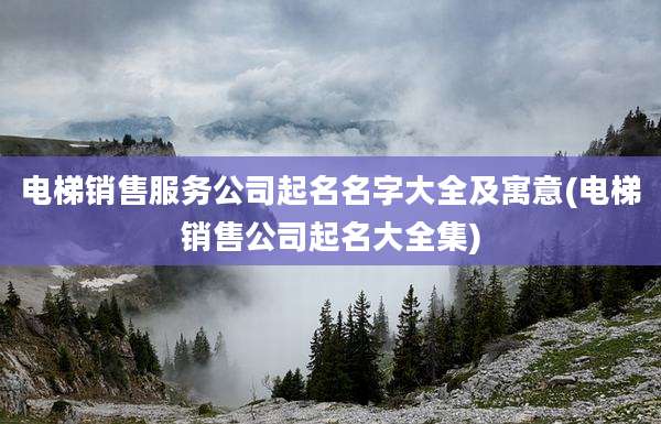 电梯销售服务公司起名名字大全及寓意(电梯销售公司起名大全集)