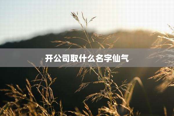 开公司取什么名字仙气
