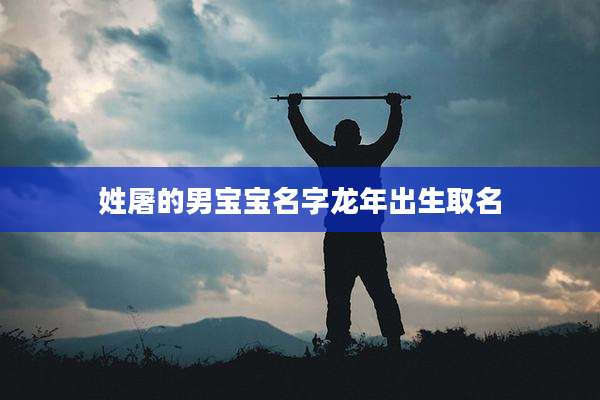 姓屠的男宝宝名字龙年出生取名