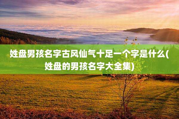 姓盘男孩名字古风仙气十足一个字是什么(姓盘的男孩名字大全集)