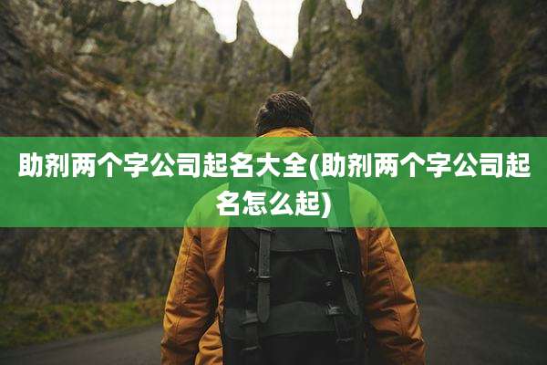 助剂两个字公司起名大全(助剂两个字公司起名怎么起)