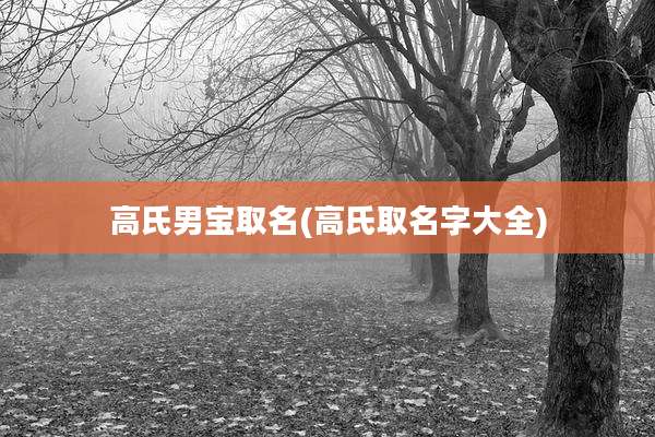 高氏男宝取名(高氏取名字大全)