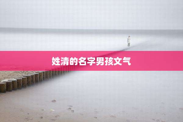 姓清的名字男孩文气