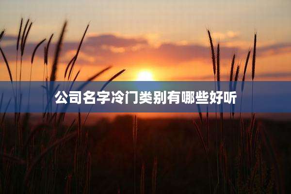 公司名字冷门类别有哪些好听