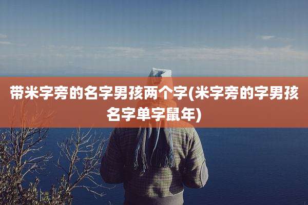 带米字旁的名字男孩两个字(米字旁的字男孩名字单字鼠年)