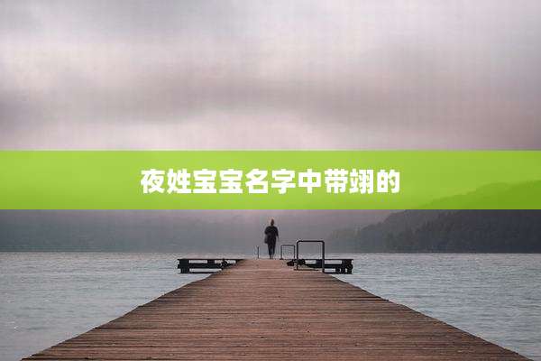 夜姓宝宝名字中带翊的