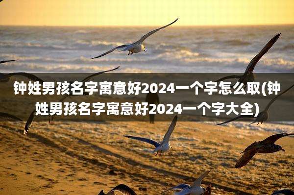 钟姓男孩名字寓意好2024一个字怎么取(钟姓男孩名字寓意好2024一个字大全)