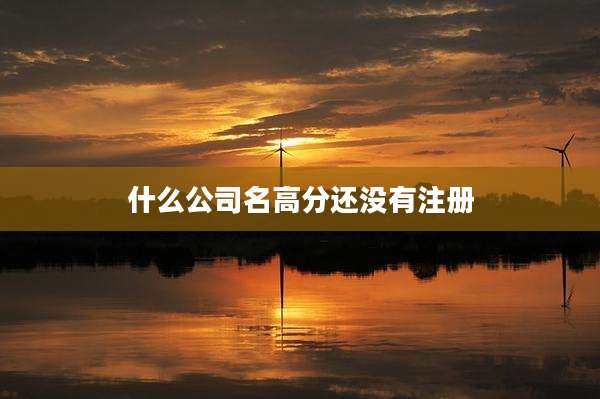 什么公司名高分还没有注册