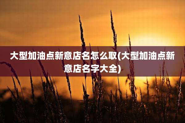 大型加油点新意店名怎么取(大型加油点新意店名字大全)