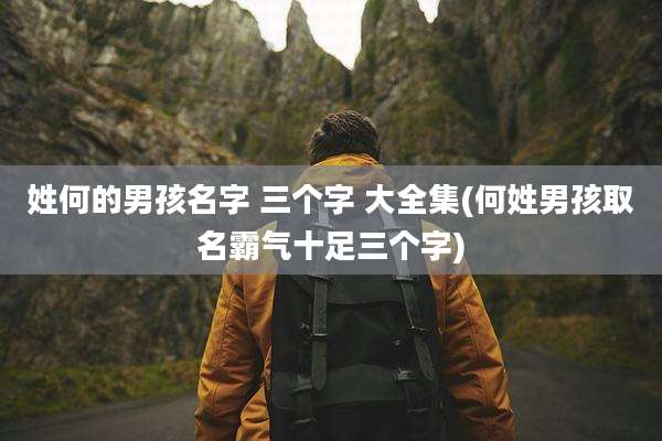 姓何的男孩名字 三个字 大全集(何姓男孩取名霸气十足三个字)