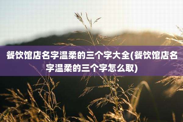 餐饮馆店名字温柔的三个字大全(餐饮馆店名字温柔的三个字怎么取)