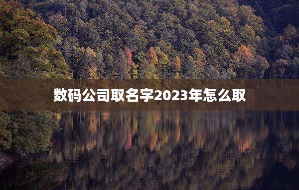 数码公司取名字2023年怎么取
