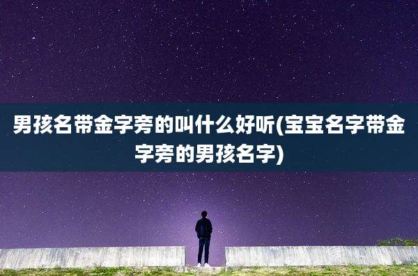 男孩名带金字旁的叫什么好听(宝宝名字带金字旁的男孩名字)