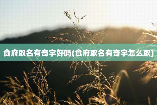食府取名有奇字好吗(食府取名有奇字怎么取)