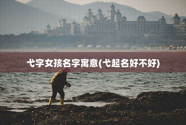 弋字女孩名字寓意(弋起名好不好)