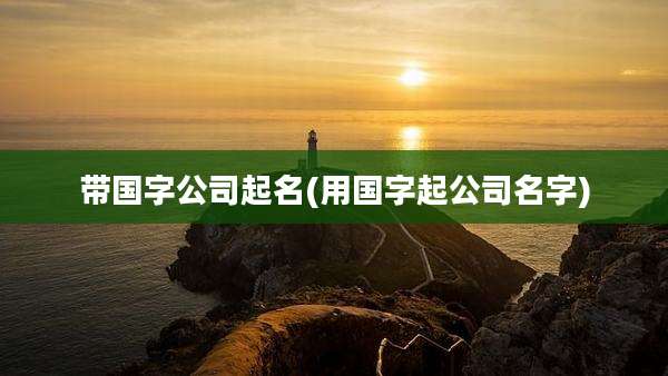 带国字公司起名(用国字起公司名字)