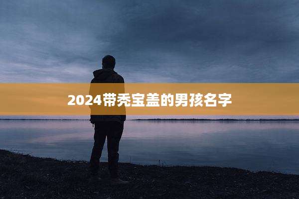 2024带秃宝盖的男孩名字