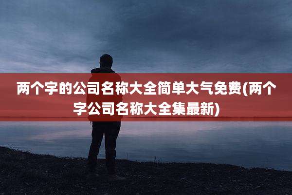 两个字的公司名称大全简单大气免费(两个字公司名称大全集最新)