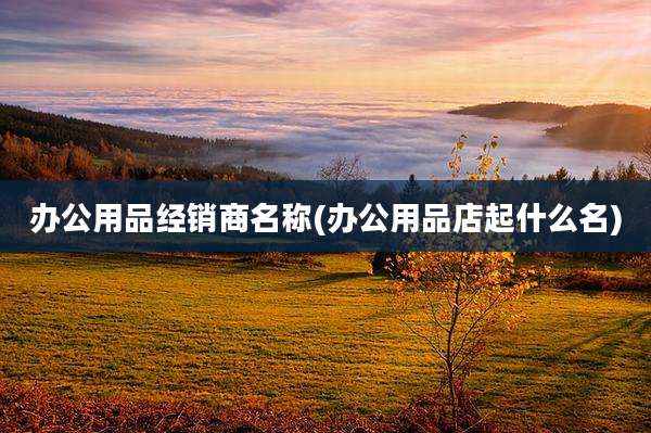 办公用品经销商名称(办公用品店起什么名)