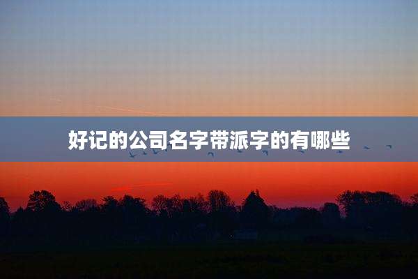 好记的公司名字带派字的有哪些