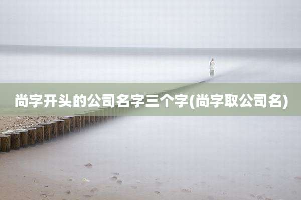 尚字开头的公司名字三个字(尚字取公司名)