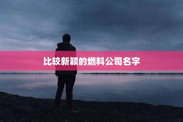 比较新颖的燃料公司名字