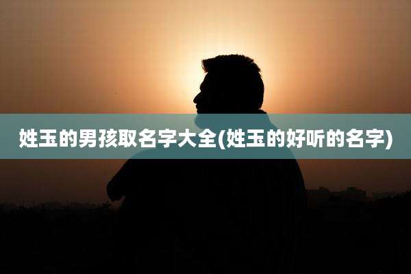 姓玉的男孩取名字大全(姓玉的好听的名字)
