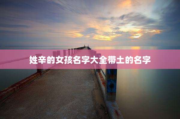 姓辛的女孩名字大全带土的名字