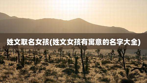 姓文取名女孩(姓文女孩有寓意的名字大全)