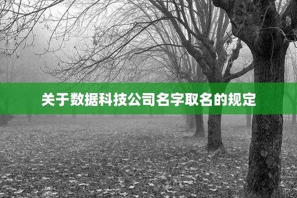 关于数据科技公司名字取名的规定