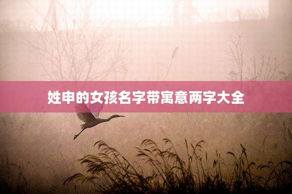 姓申的女孩名字带寓意两字大全