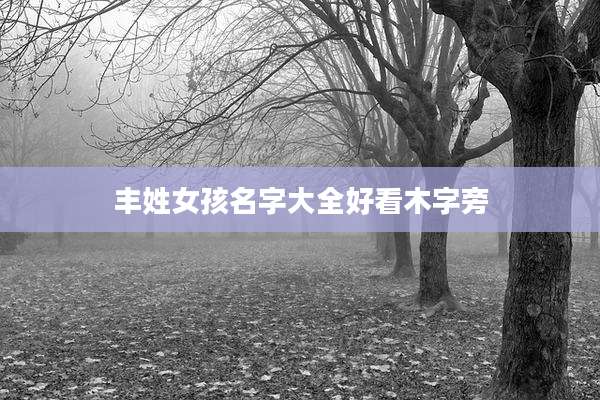 丰姓女孩名字大全好看木字旁