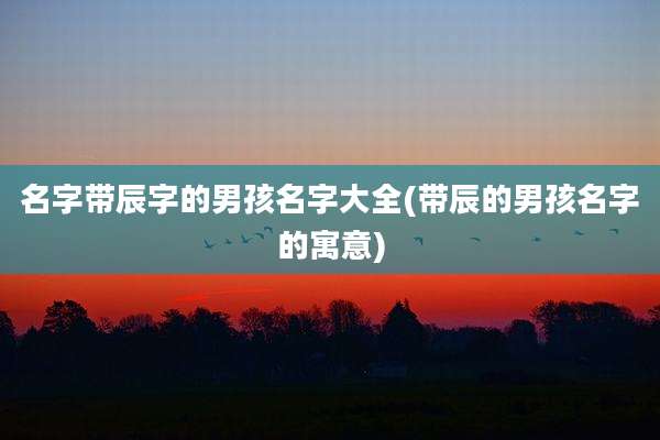名字带辰字的男孩名字大全(带辰的男孩名字的寓意)