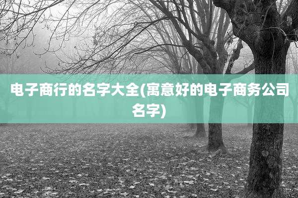 电子商行的名字大全(寓意好的电子商务公司名字)