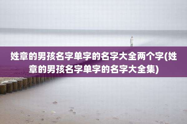 姓章的男孩名字单字的名字大全两个字(姓章的男孩名字单字的名字大全集)