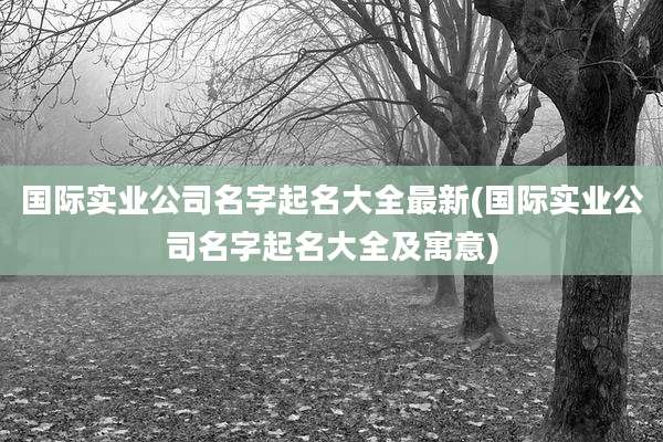 国际实业公司名字起名大全最新(国际实业公司名字起名大全及寓意)