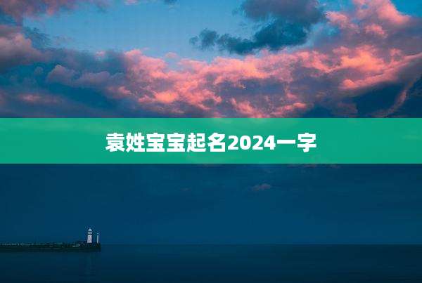 袁姓宝宝起名2024一字
