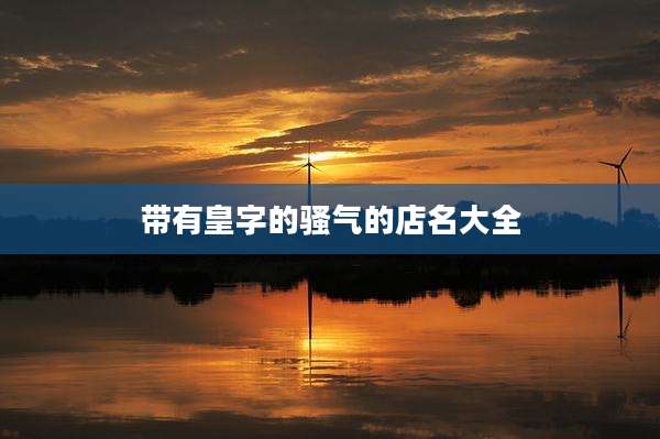 带有皇字的骚气的店名大全