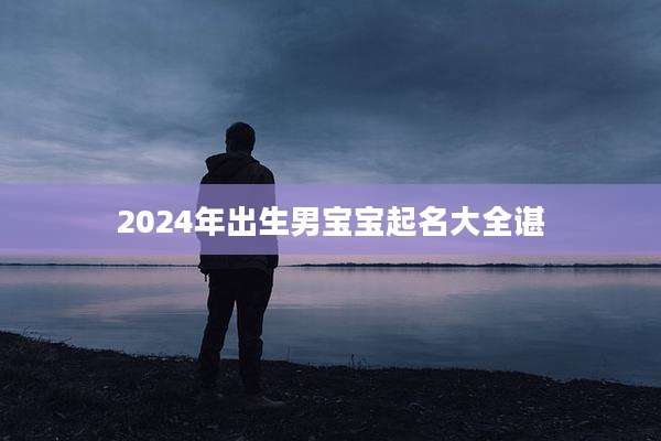 2024年出生男宝宝起名大全谌