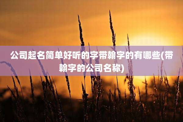 公司起名简单好听的字带翰字的有哪些(带翰字的公司名称)