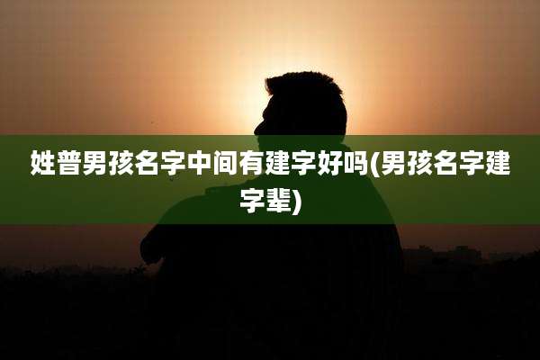 姓普男孩名字中间有建字好吗(男孩名字建字辈)