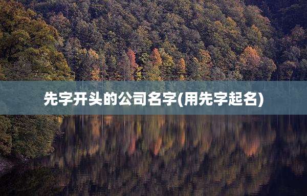 先字开头的公司名字(用先字起名)